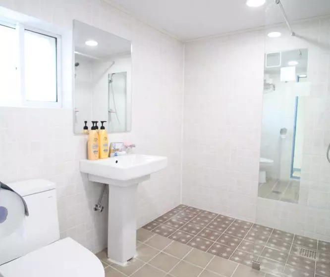 پانسیون Cocoon Stay Hapjeong