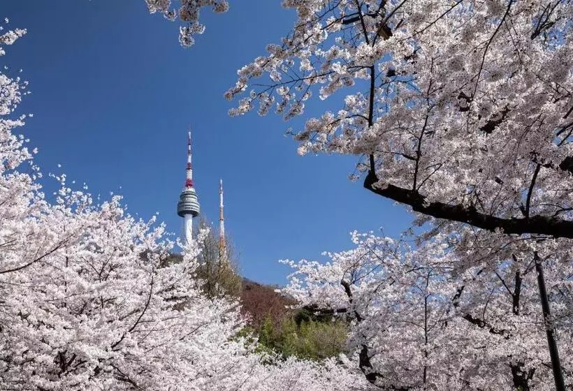 ペンション Parkavenue Guesthouse