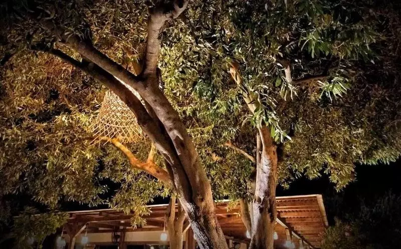 Hotel Plataria Beach