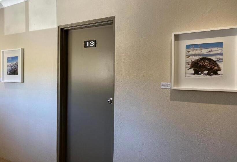 فندق على الطريق Jindy Inn