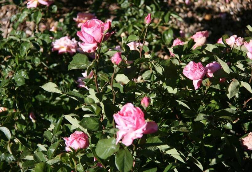 فندق على الطريق Jindy Inn