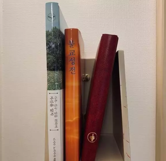 Dongdaemun Inn Guest House – Hostel