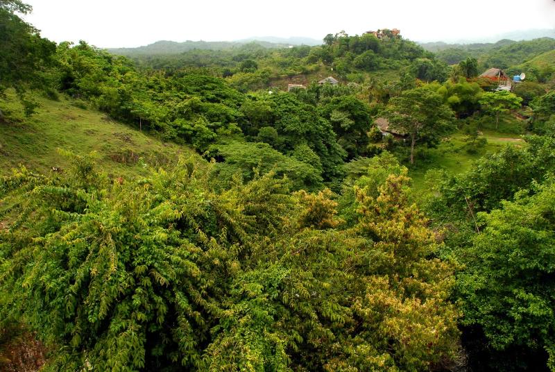 هتل Clave Verde Ecolodge