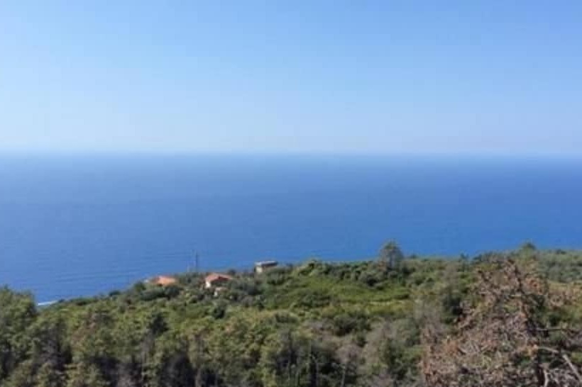 Отель Due Gemelli