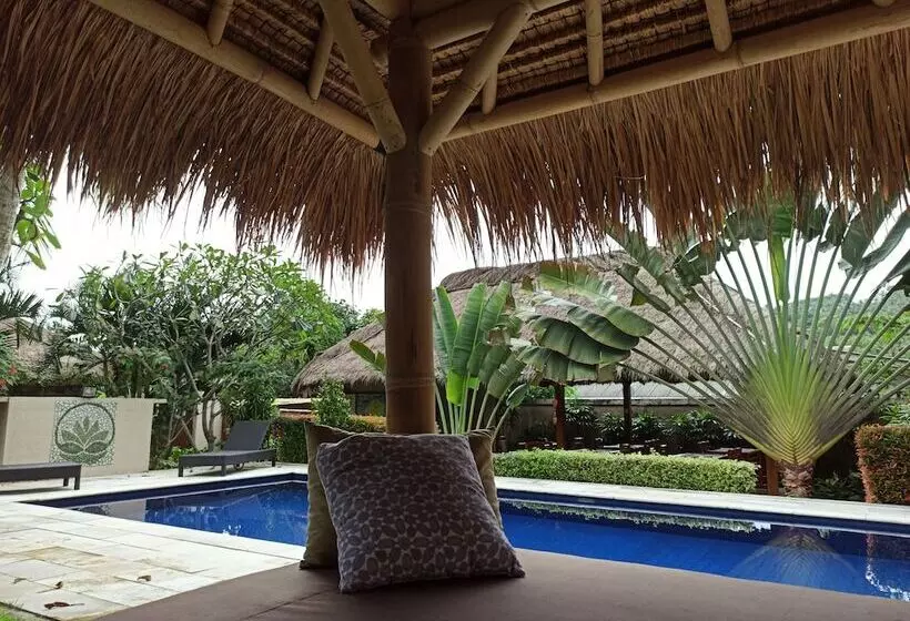 Отель Mama Bella's Retreat