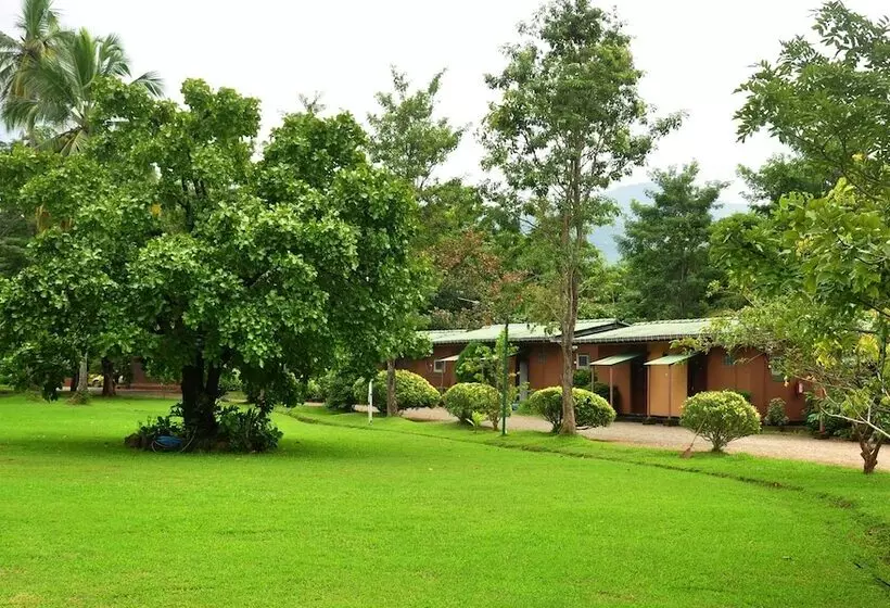 Hotell M.p.s.village