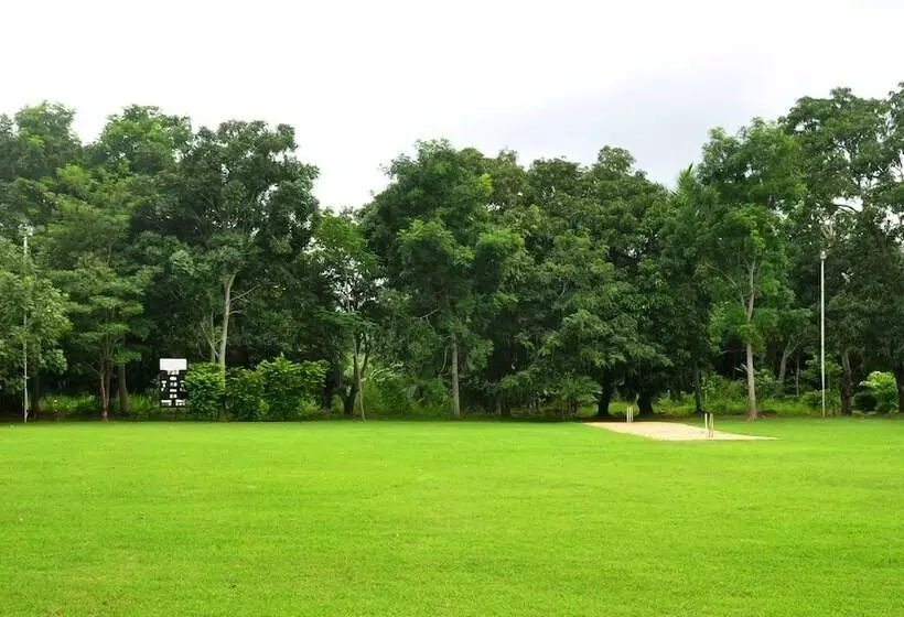 Hotell M.p.s.village