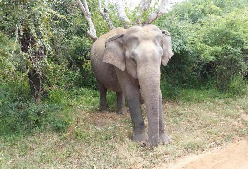 בית מלון כפרי Travelers Holiday Resort