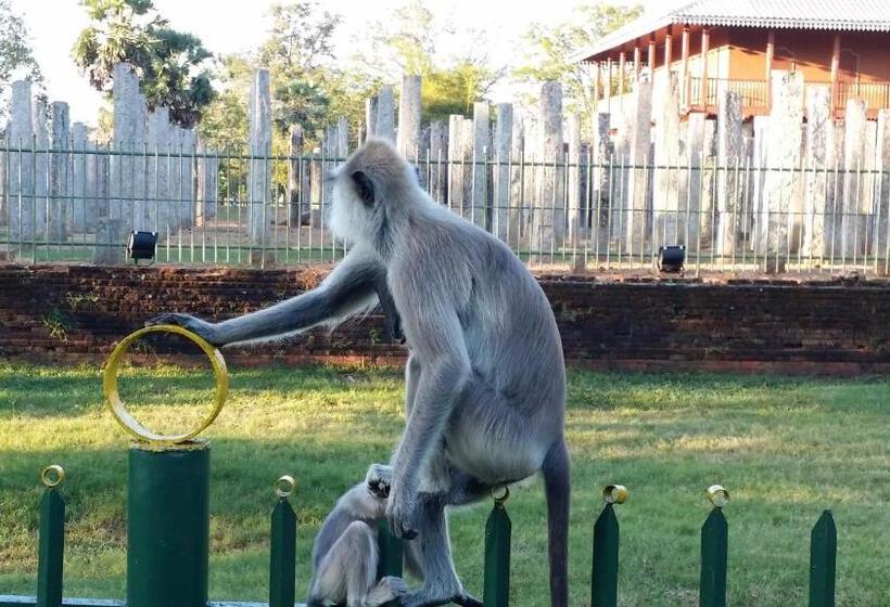 בית מלון כפרי Travelers Holiday Resort