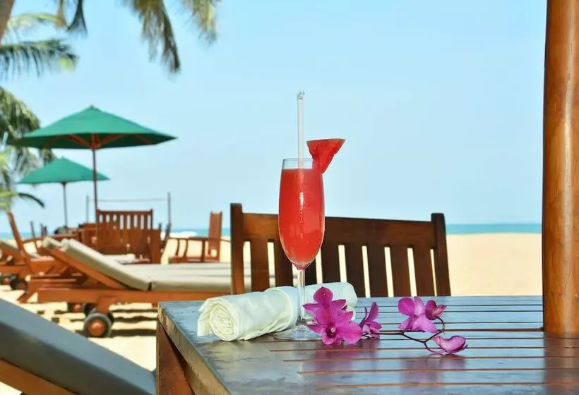 Joe S Resort Unawatuna