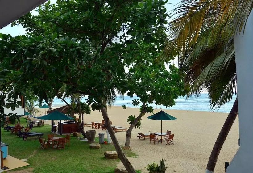 Joe S Resort Unawatuna