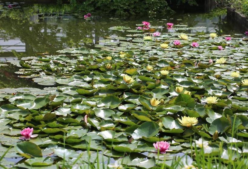 פנסיון B&b Healing Garden