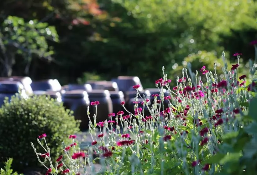 Majatalo B&b Healing Garden