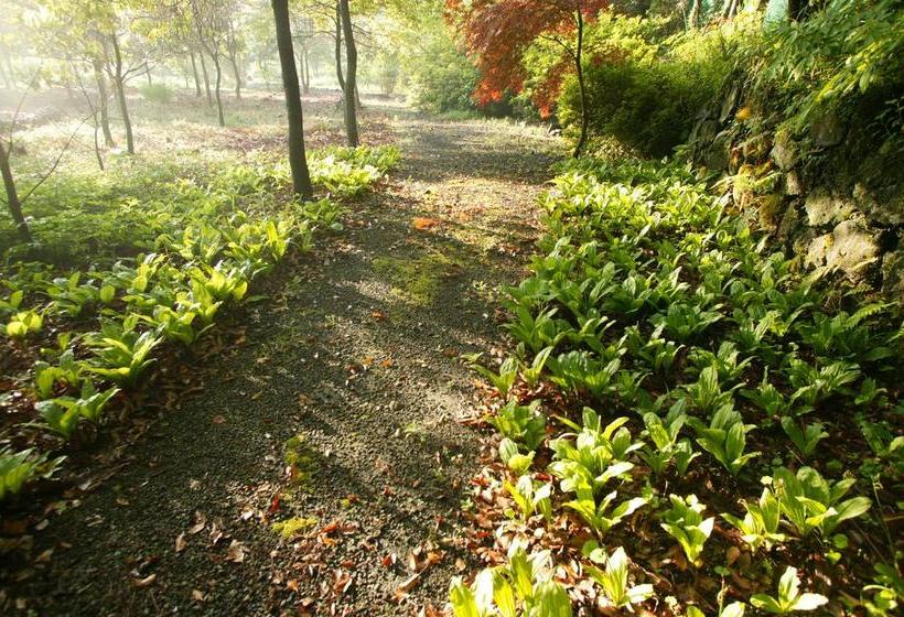 פנסיון B&b Healing Garden