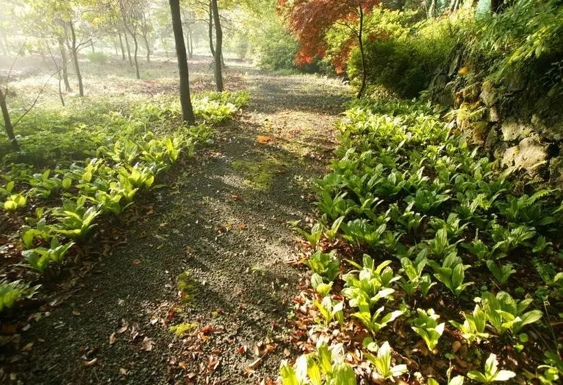 Majatalo B&b Healing Garden