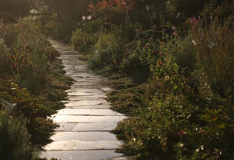 פנסיון B&b Healing Garden