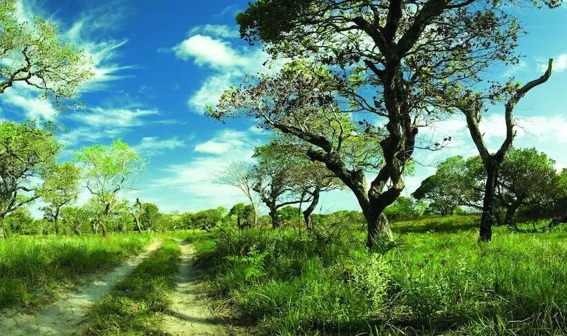 First Group Lake View Cabanas