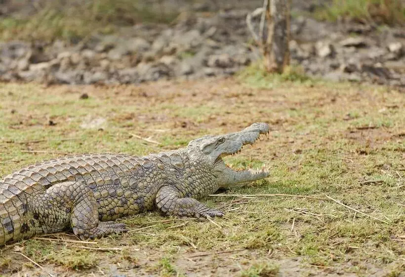 First Group Lake View Cabanas