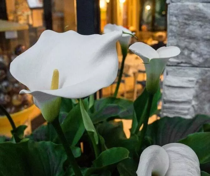 ホテル Fiordaliso