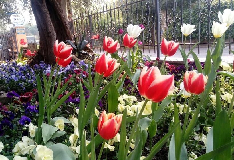 Отель Fiordaliso