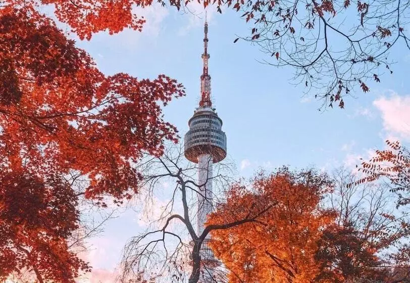 בית מלון כפרי Lex Tourist