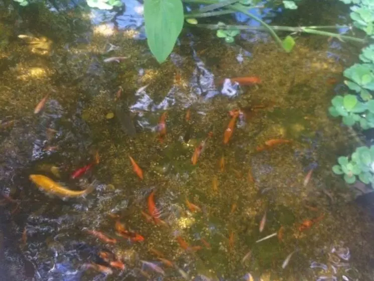 ホテル EOcambo Villa