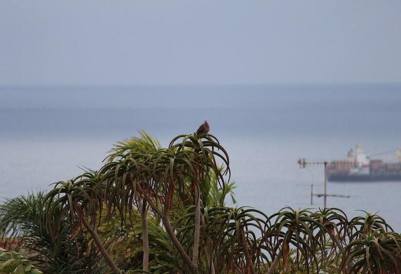 بنسيون Milkwood Mansion