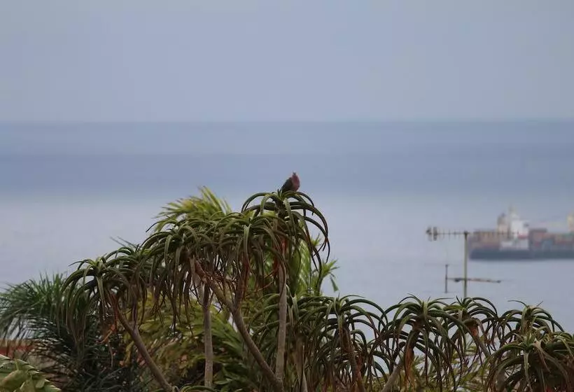 פנסיון Milkwood Mansion