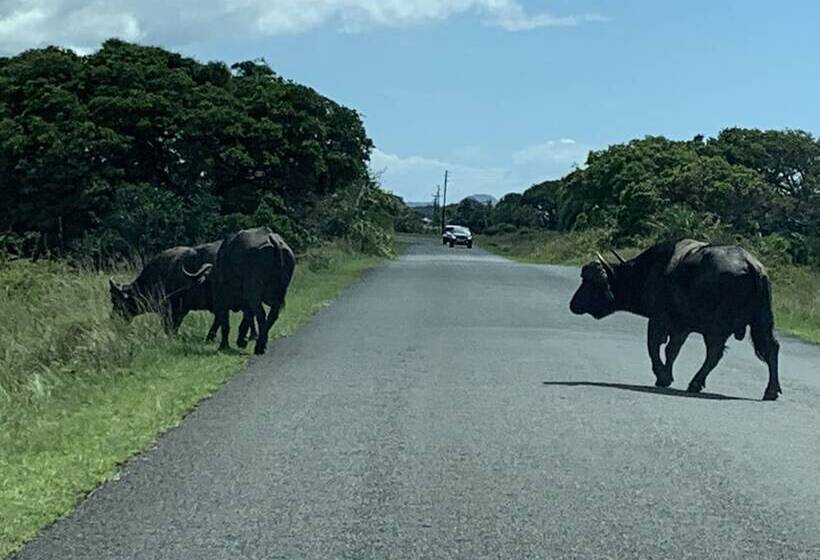 Perna Perna Lodge St Lucia