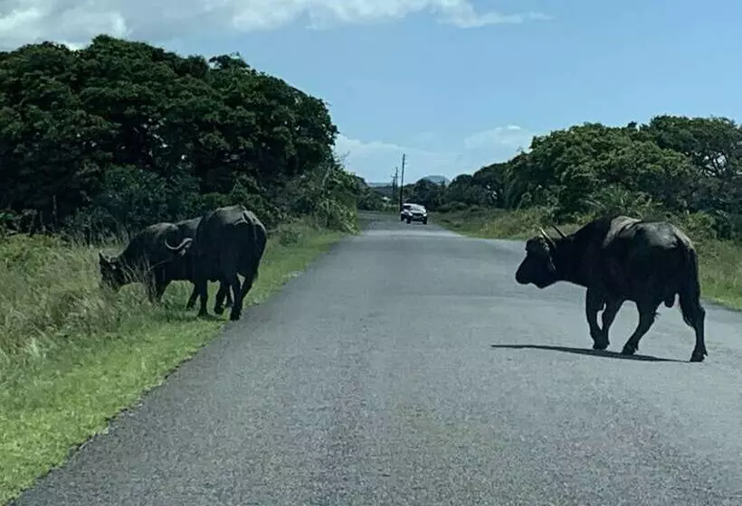 Perna Perna Lodge St Lucia