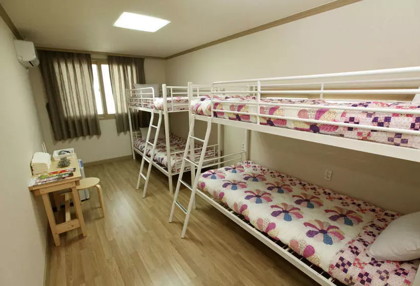 Ss Guesthouse - Hostel