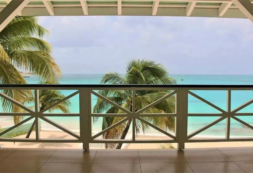 The Horny Toad Guest House