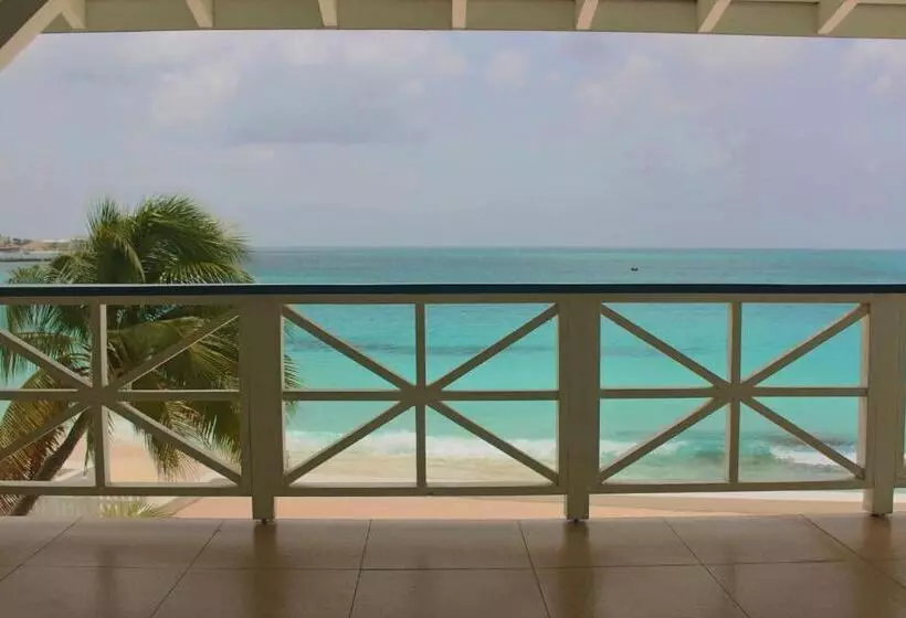 The Horny Toad Guest House