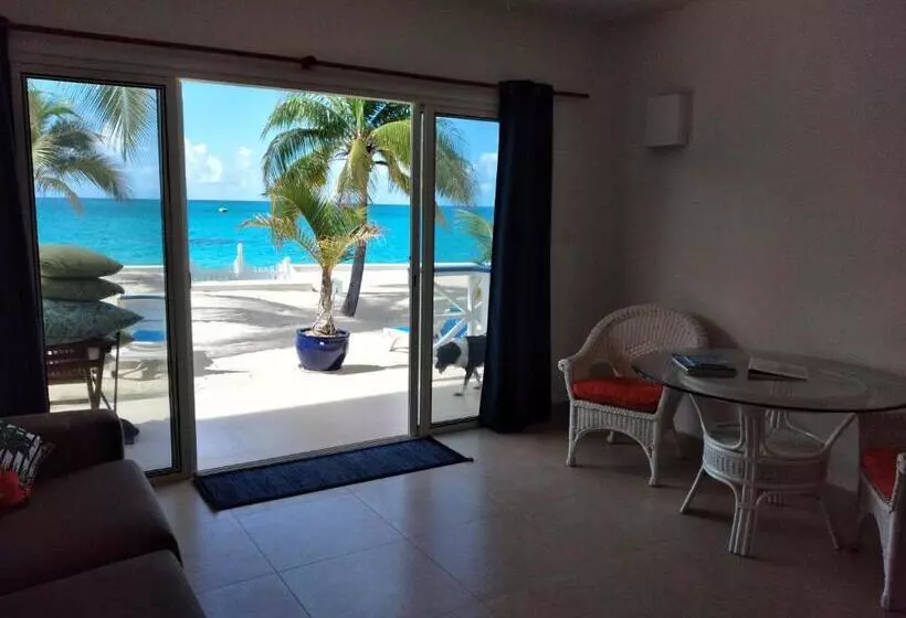 The Horny Toad Guest House