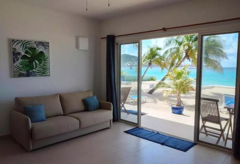 The Horny Toad Guest House