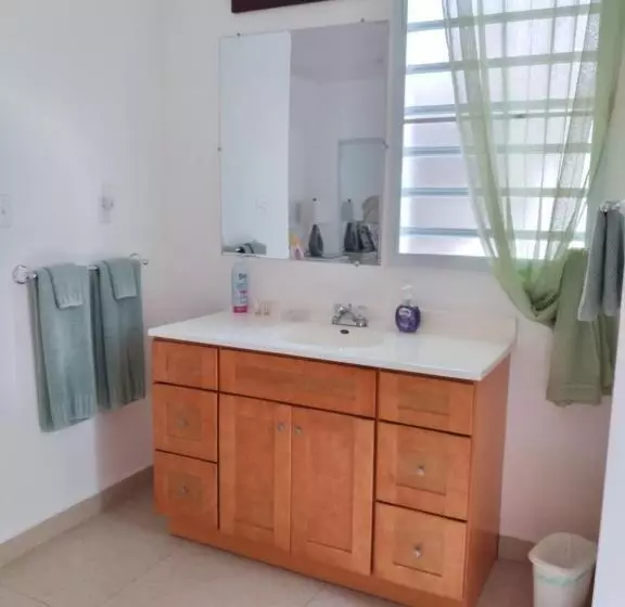 The Horny Toad Guest House