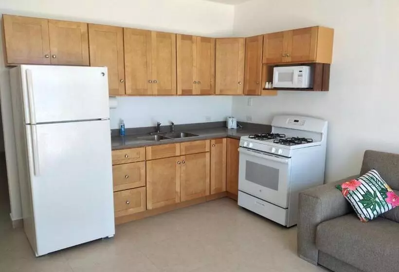 The Horny Toad Guest House