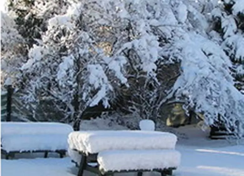 فندق صغير Jack In The Green Garden Rooms