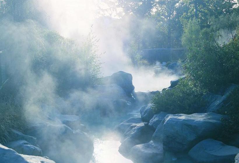 הוסטל Jack In The Green Garden Rooms