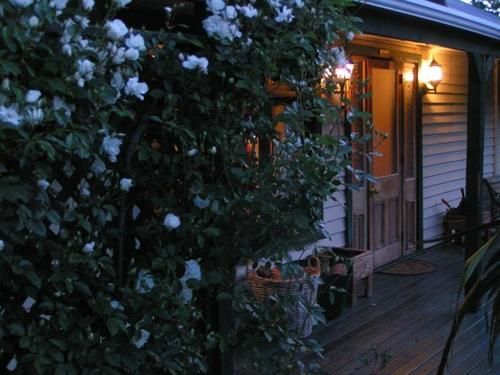 הוסטל Jack In The Green Garden Rooms