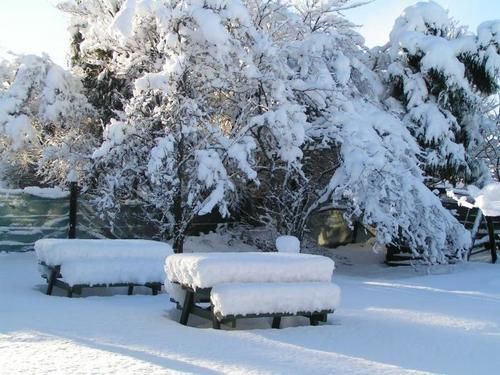 הוסטל Jack In The Green Garden Rooms