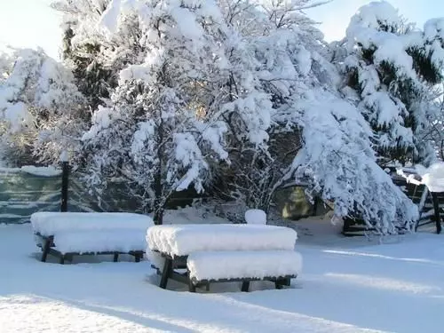 فندق صغير Jack In The Green Garden Rooms