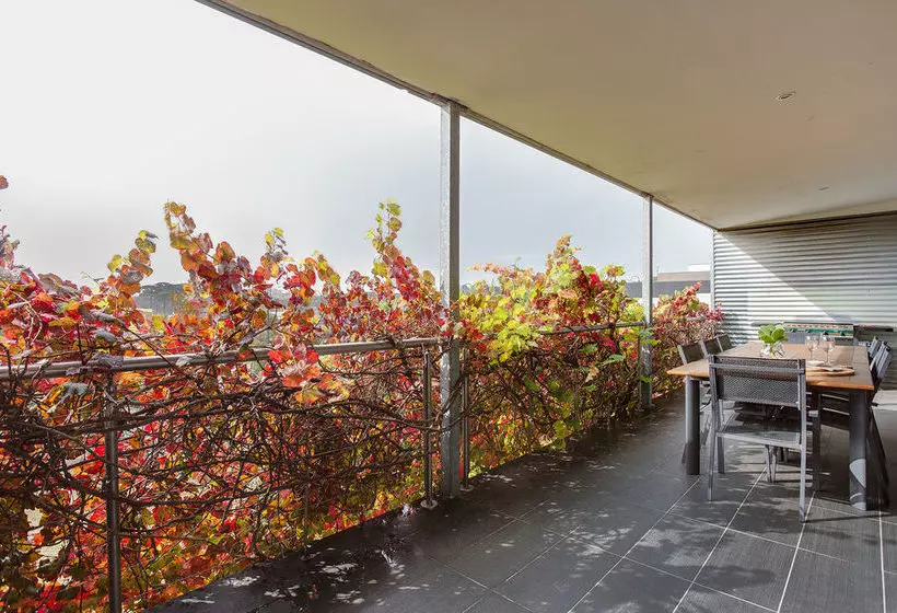 旅馆 Sorrento Beach House