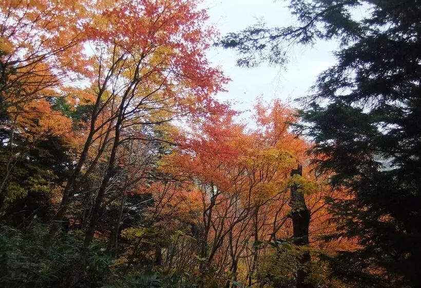 호텔 Shiga Park