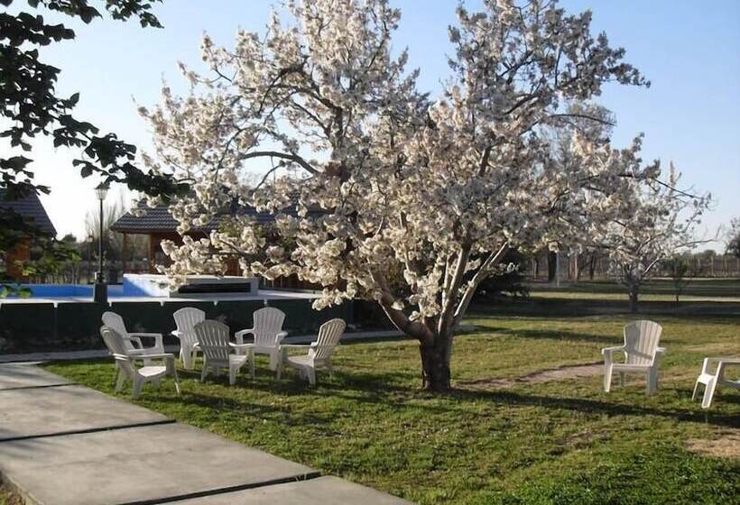 Hotel Vistalba Lodge