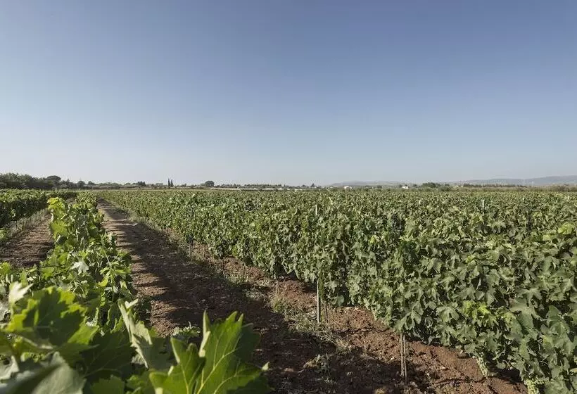 צימר Villa Zottopera   Dimora Di Campagna