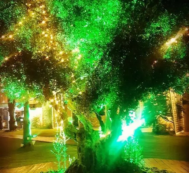 Отель El Yam Luxury Resort