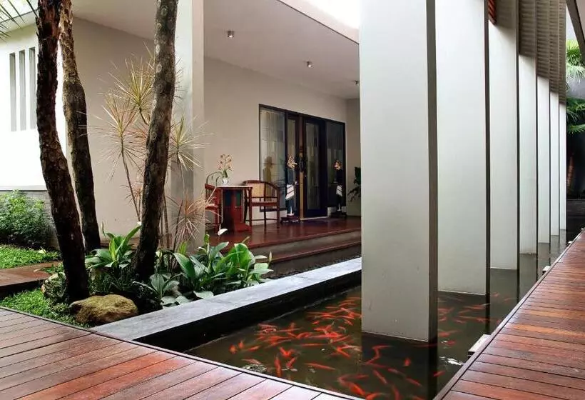 Hotel Cozy Boutique Guest House