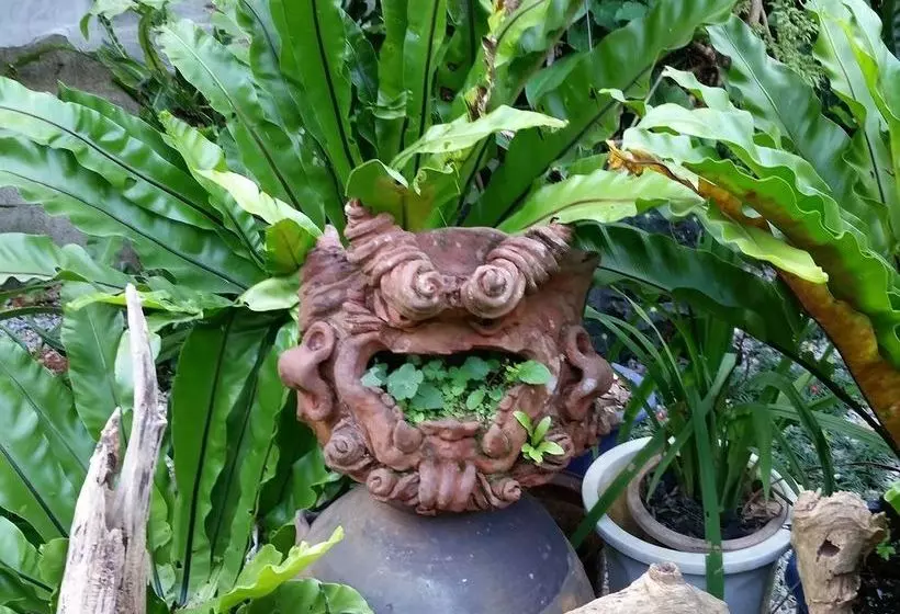 Garden House