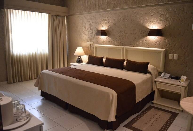 Szálloda Layfer Del Centro, Cordoba, Ver